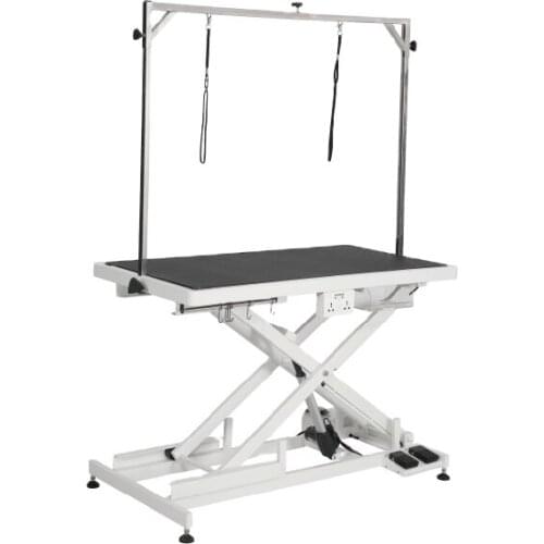 FT - 808pro pet products Low-Low Electric Lifting pet grooming Table for dogs