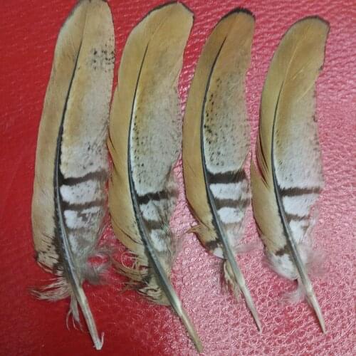 Hot Sale 100pcs Beautiful 4-6inch/10-15cm natural copper chicken feathers stage performances decoration