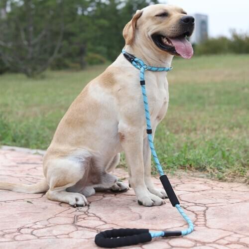 Large Dog Reflective Rope Dog Lead Leash 5 Color Nylon Basic Leashes Medium Dog Walking Big Dog Collar For Labrador Rottweiler