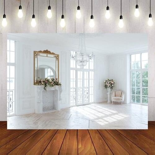 Mehofond Photography Background Window French Window Transparent Glass Window Adult Kids Birthday Portrait Backdrop Photo Studio