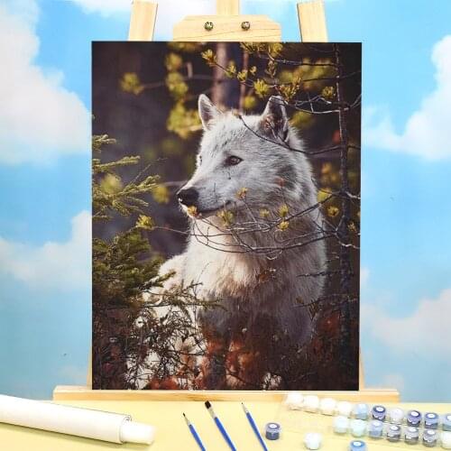 Animal Wolf Coloring By Numbers Painting Set Acrylic Paints 40*50 Canvas Painting Home Decoration Crafts Adults Wholesale