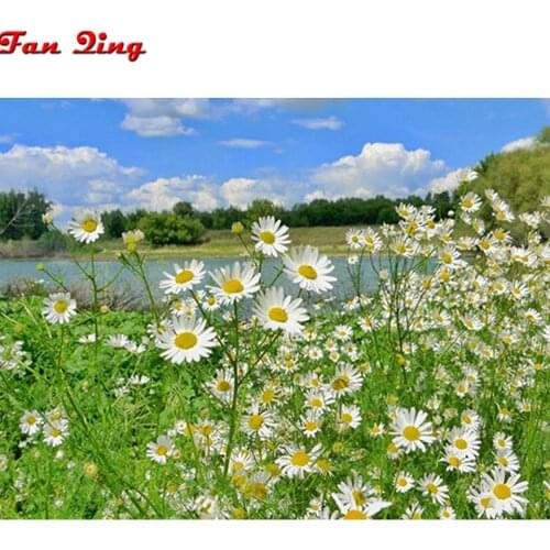 5D diy Diamond Painting daisy Flower Cross Stitch Mosaic Picture Full Square Round Diamond Rhinestone Embroidery Home decor Sale