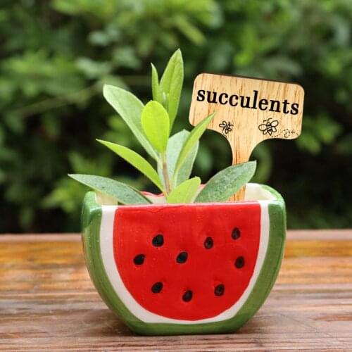 Bamboo Plant Labels with A Marker Pen, T-Type Wooden Plant Sign Tags Garden Markers for Seed Potted Herbs Flowers Vegetabl