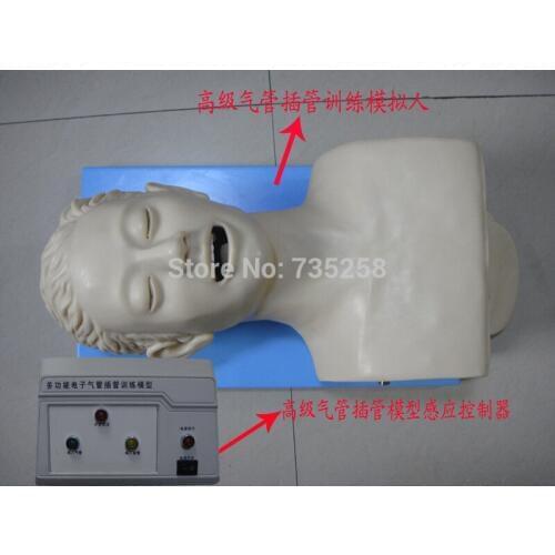 Electronic Tracheal Intubation Simulator,Advanced Electronic Human Trachea Intubation Training Model