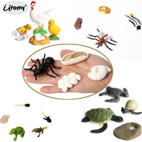 UTOMY Insect Figures