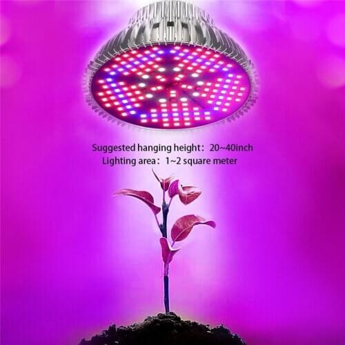 Echiley LED Plant Lamps