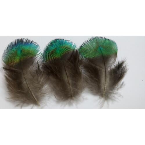 New! 10 pc natural quality Peacock feathers, 1.2-2" / 3-5cm long, diy jewelry decorative accessories