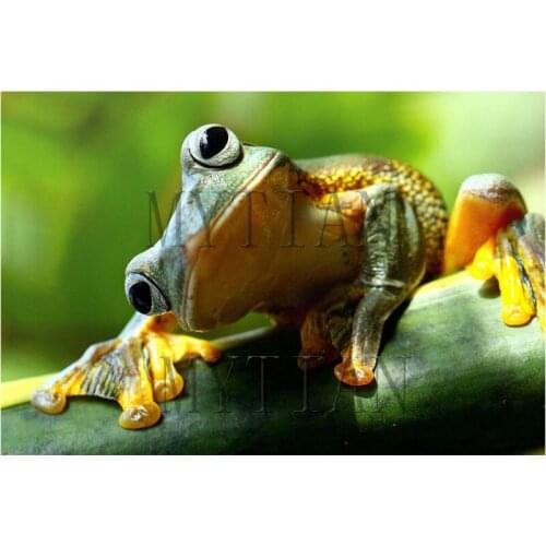 New year Full Square/Round Drill 5D DIY Diamond Painting "Frog " animal 3D Embroidery Cross Stitch 5D Home Decor Gift