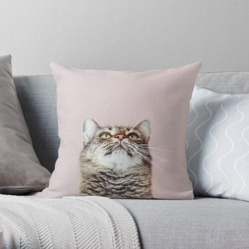 Beautiful cat looking up Throw Pillow Cushion Cover Polyester throw pillows case on sofa home living room car seat decor 45x45cm