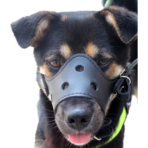 ZMONH Muzzles For Dogs