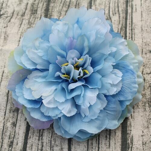 CLYK Large One-piece Swimwear