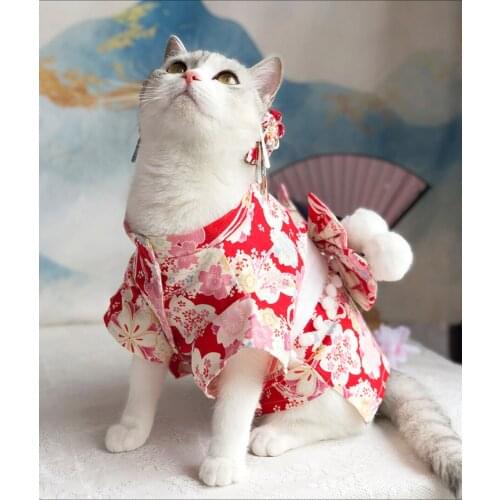 Hoopet  China
