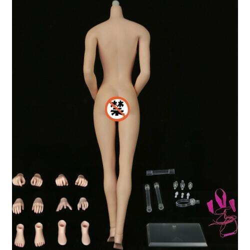 1/6 figure D cup European Shape Female Seamless Body Scale Flexible (Big bust) Skeleton headless Body Detachable Foot Model