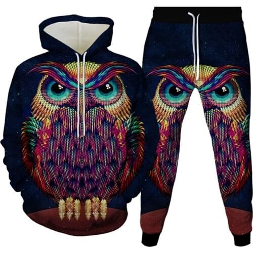 Men Women Fashion Tracksuit Colorful Galaxy Anime Animal Owl Hoodies+Pants 2Pcs Harajuku Clothes Hooded Sweatshirt+Sweatpants