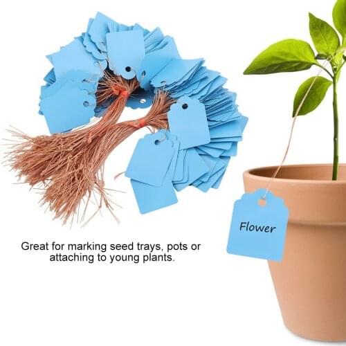 200pcs PVC Hanging Flower Plant Seed Name Tag Label Marker Sign Outdoor Blue