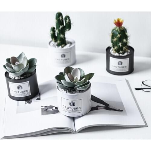 Home Decor Lifelike Fake Plants Creative Ornaments Cactus Simulation Succulent Bonsai Tropical Potted Plants (Including Pots)