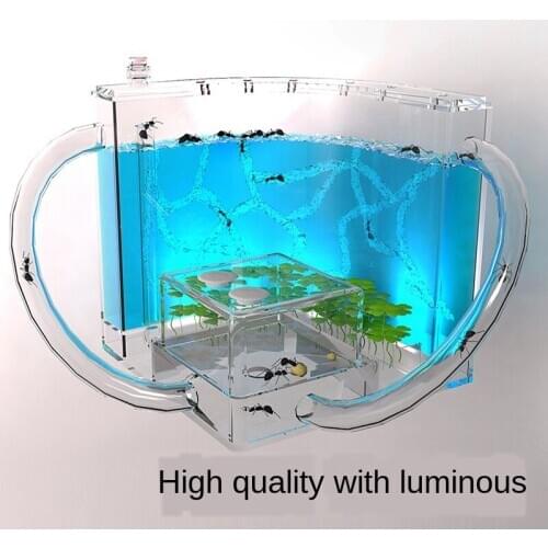 DIY Luminous Ant Workshop Ant Villa Workshop Home Castle Ant Farm Underground Children Educational Toys Children Science 21*11cm