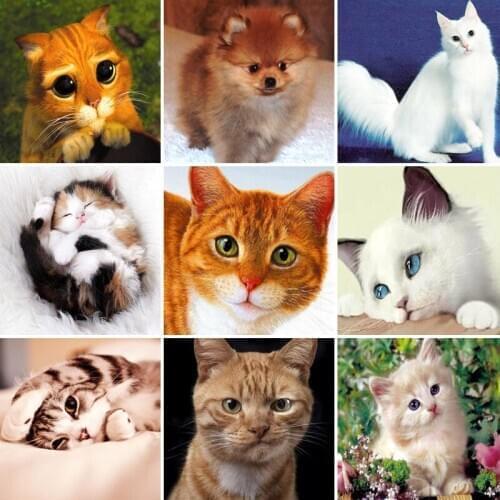 40/50/60 Full Square Diamond Painting cat 5D DIY Animal Embroidery Cross Stitch Kit Handmade Gift Wall Stickers Home Decoration