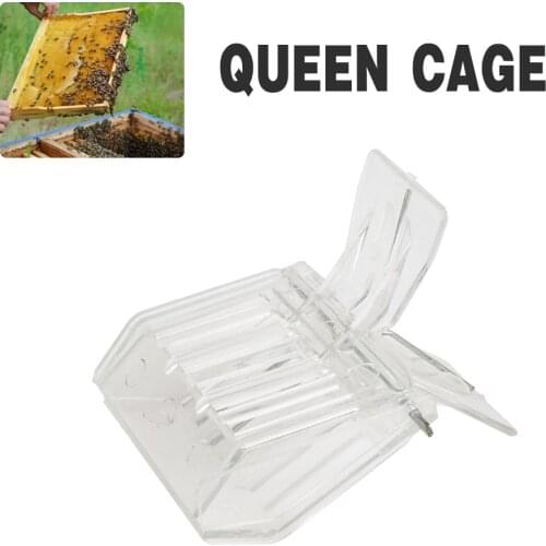 Beeekping Bee Queen Catcher Colorless Clear Plastic Clip Cage Goods Tools For Beekeeper Supplies