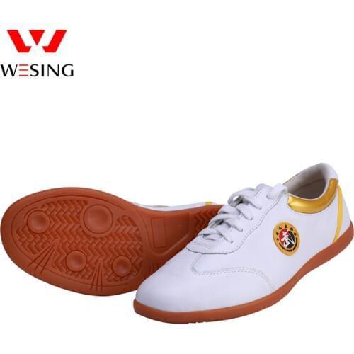 Wesing Tai Chi shoes lace up sneaker kung fu taekwondo shoes adult kids unisex