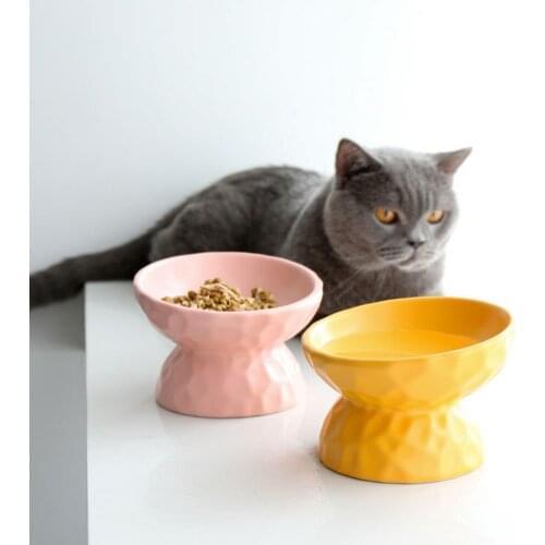 Ceramics Raised Cat Bowl Slanted Cat Bowl for Food Stress Free Angled Cat Bowl Less Regurgitating and Vomiting TS2