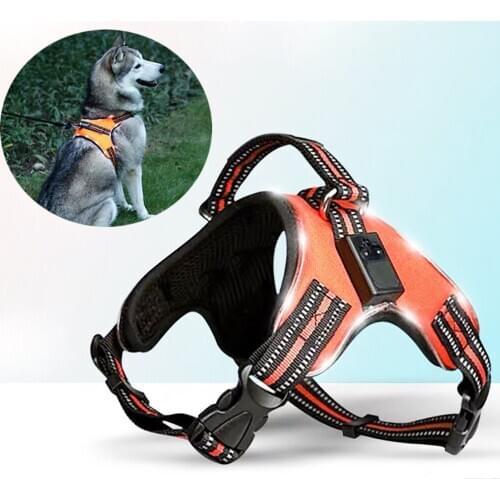 Medium And Large Dog LED Harness For Pet Dog Tail Nylon LED Flashing Dog Harness Collar Pet Safety Leash Dog Accessories