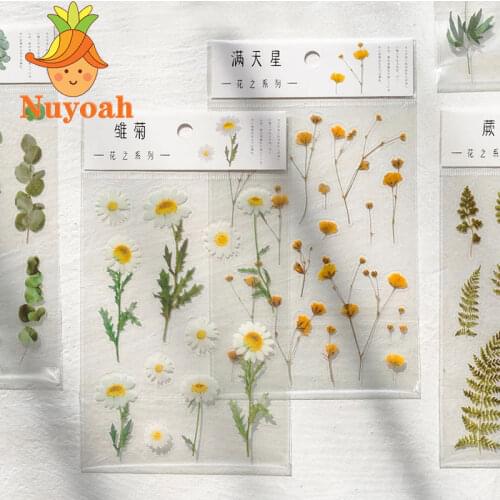 12 Designs Stickers For Journaling Natural Daisy Clover Japanese Words Stickers Transparent Plants Deco Stickers Flower