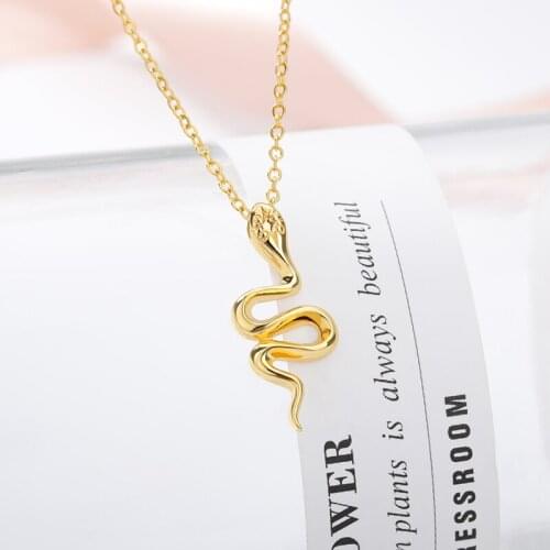 Stainless Steel Chain New Snake Necklace For Women Animal Dangle Pendant Necklace Minimalist Female Jewelry 2020 Trend Gifts BFF