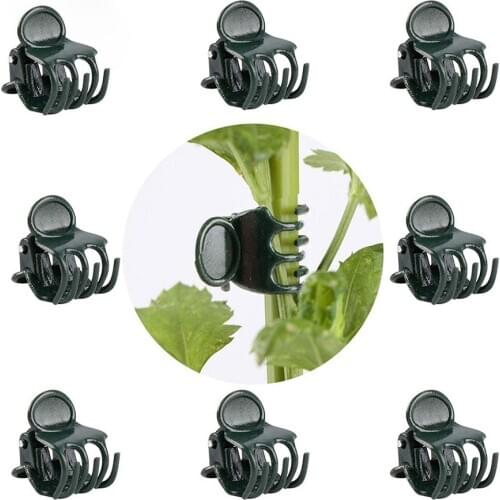 100-Pack Orchid Clips Dark Green Plant Support Garden Flower Vine Clips Supporting Stems Vines Stalks Grow Upright Flowers