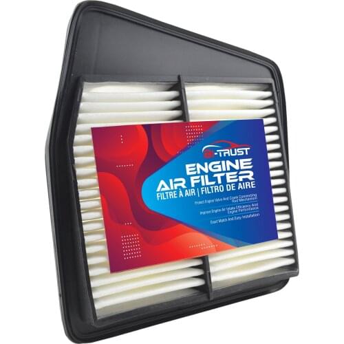 Bi-Trust Replacement Engine Air Filter for 2009 2010 2011 2012 2013 2014 Acura TSX 2.4L CA10802,17220-RL5-A00