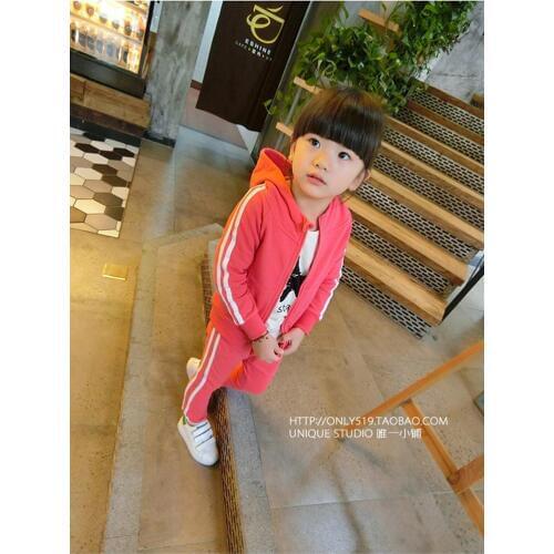 2019 New Spring Children Girls Boys Sports Suits Hooded Jacket + Sport Pants Kids Baby Leisure Set 3 Color good quality 1603