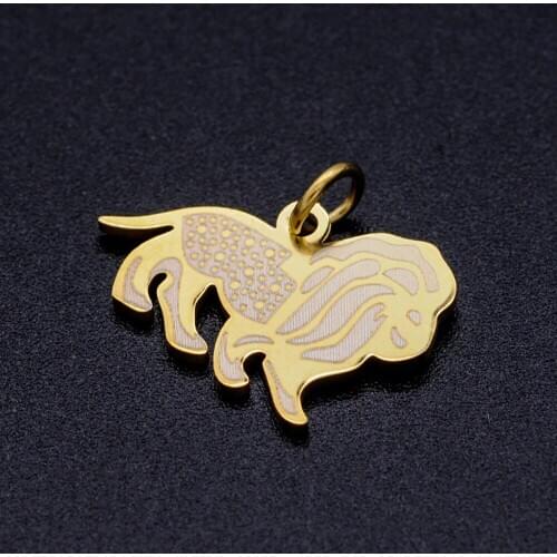 5pcs/lot 316L Stainless Steel Etched Lion DIY Charm Pendant Wholesale Never Tarnish Jewelry Making Charms AAAAA Quality