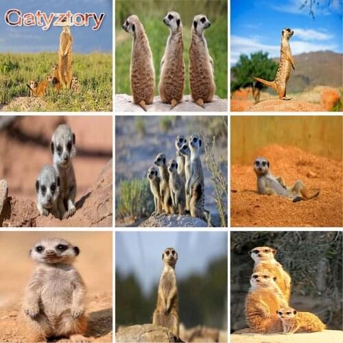 GATYZTORY Frame DIY Painting By Numbers Small Animals Handpainted Oil Painting Picture By Numbers For Home Wall Art Decors