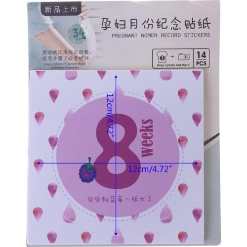 K1KC 14 Pcs/Set Month Sticker Pregnant Women Photography Monthly Adhesive Stickers Landmark Floral Coming Soon Belly Clothing