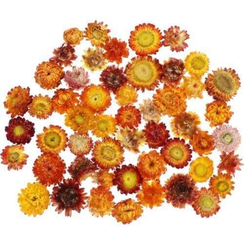 30/50pcs High Quality Natural Colorful Chrysanthemum Dried Flower Heads Wedding Flower Centerpieces Dry Flower Preserved Flower