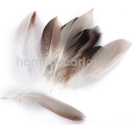 20 MALLARD DUCK FLANK FEATHERS 9-13cm for Fly Tying Millinery Mask Art Craft