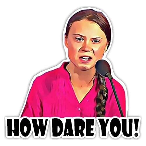 How Dare You Environmental Movement Greta Thunberg 13x13cm Sticker Car Decor Also Pasted on Motorcycles