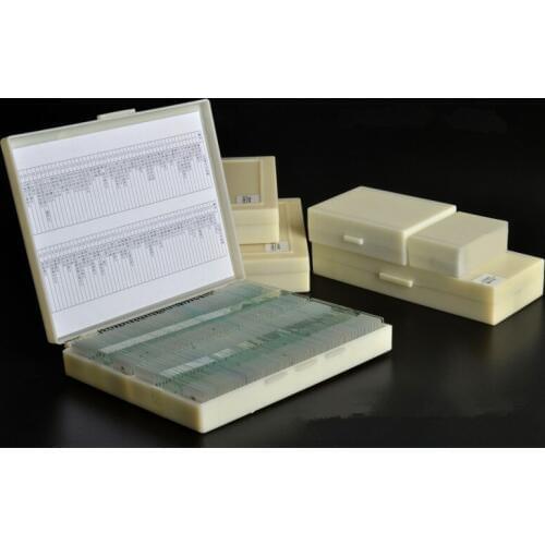 Biology 10/25/50/100/200 Prepared Glass Microscope Specimen Slides School and Laboratory English Label Teaching Samples