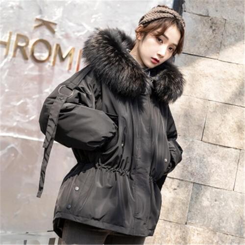 2019 Womens Winter Long OuterwearJjacket Coats White Duck Down Coat Hooded Raccoon Fur Collar New Fashion Clothing 776