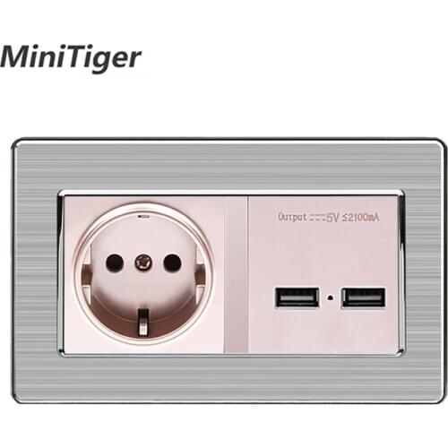 Minitiger Home Smart EU Standard Wall Socket With Dual USB Smart Induction Charge Port For Mobile 5V 2.1A Stainless Steel Panel