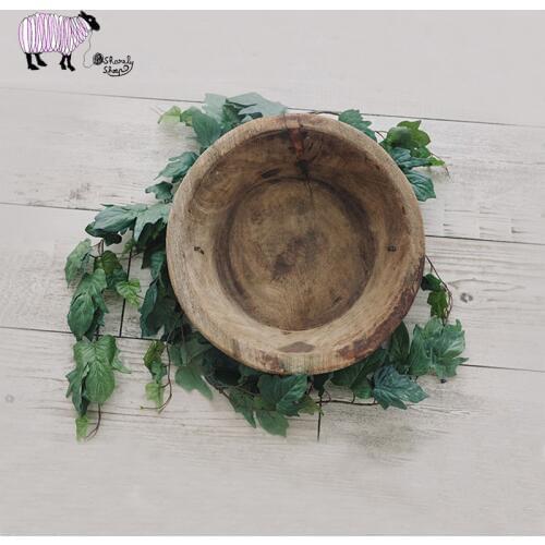 Newborn Photography Artificial Plant Props Infant fotografia Shooting Accessories Baby Girl Boy Photo Shoot Basket Accessories