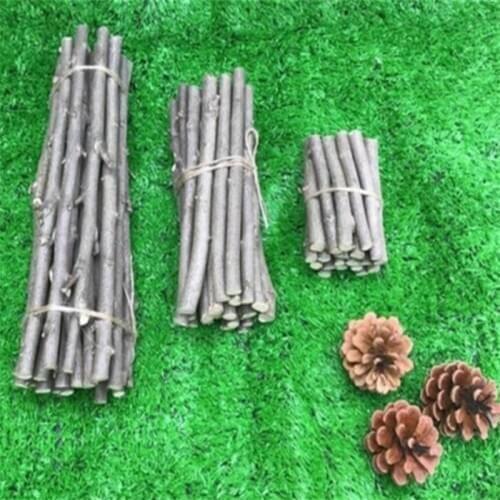 20 PCS/pack Original Natural Small Sticks DIY Material Suitable For Garden Wedding Table Decoration craft