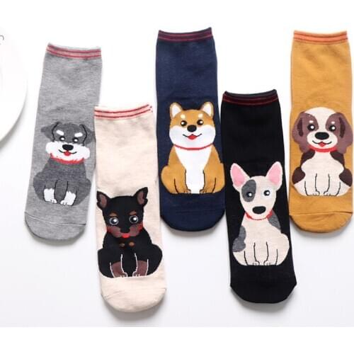 Female socks dog pattern ladies cotton socks casual 2021 new cartoon animal cute casual tube socks store manager recommendation
