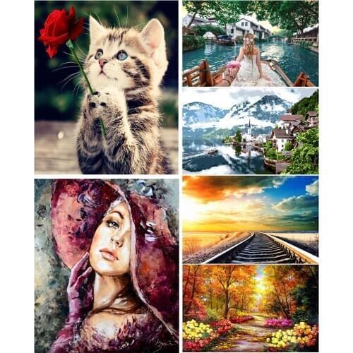 DIY Frame Oil paint Painting picture By Numbers Landscape Cat with flower beauty acrylic Canvas Painting Wall Art for Home Decor