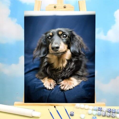 Animal Dog Dachshund Coloring By Numbers Painting Set Oil Paints 50*70 Oil Painting Wall Paintings For Handiwork