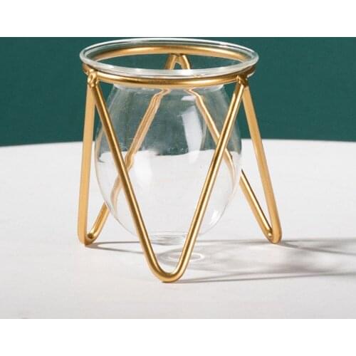 Test Tube Vase Flowerpot With Metal Frame Hydroponic Plant Art Decor Kitchen Home Glass Propagation Station