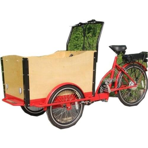 Popular pedal/electric 3 wheels electric cargo bike