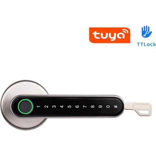 Tuya Or TTLock APP Smart Bluetooth-compatible Remote Control Fingerprint Biometrics Lock For Indoor Used
