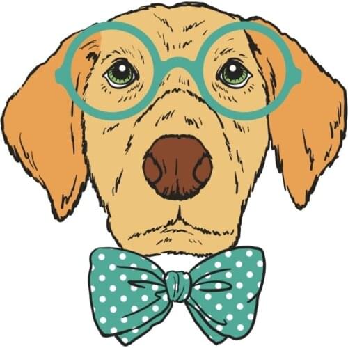 Doctor Dog Sticker Plane Extreme