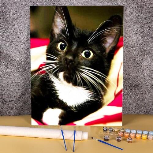Cat Animal DIY Paint By Numbers Set Oil Paints 40*50 Painting On Canvas Home Decor For Kids Art